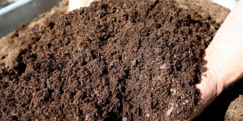 Cách làm compost đúng kỹ thuật đảm bảo giá trị cao 