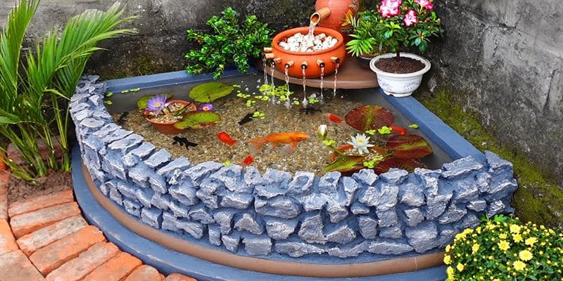 Cách làm trong nước hồ cá ngoài trời đơn giản nhanh gọn
