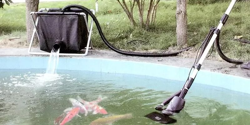 Cách thay nước hồ cá chuẩn với các bước siêu đơn giản 