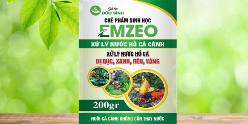 Chế Phẩm Xử Lý Nước Ao Nuôi Cá: Công Dụng, Dùng Đúng Cách 