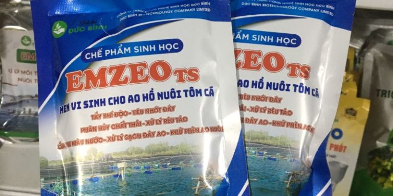 Men vi sinh xử lý đáy ao tôm nào đem tới hiệu quả tốt?