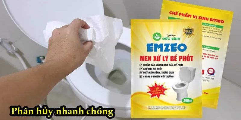 Men xử lý bể phốt và những thông tin quan trọng nên biết 