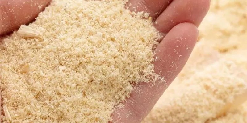 Cách ủ mùn cưa để trồng rau đảm bảo an toàn môi trường 