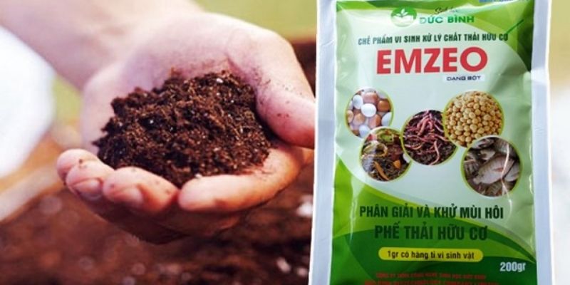 Cách ủ phân hữu cơ từ mùn cưa chia sẻ cụ thể từ A đến Z 