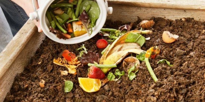 Cách ủ phân xanh đem tới hiệu quả nhanh tuyệt đối 100%