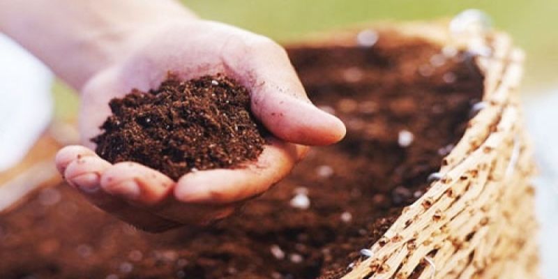 Cách ủ vỏ trấu cà phê đơn giản hiệu quả đúng kỹ thuật 