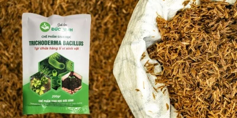 Cách ủ vỏ trấu nhanh mục từ chuyên gia nông nghiệp 
