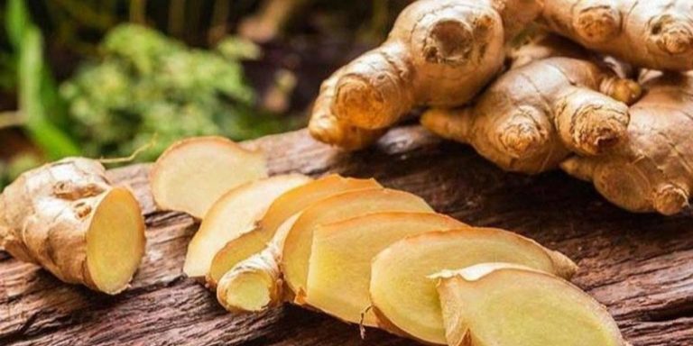 GE gừng? Cách làm GE gừng dễ dàng đúng kỹ thuật