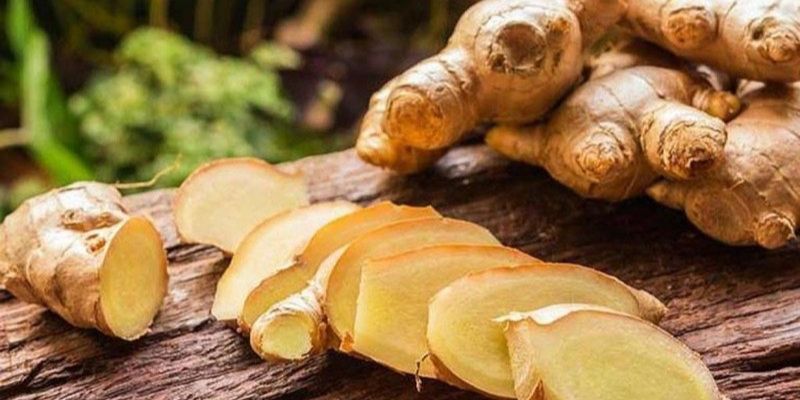 GE gừng? Cách làm GE gừng dễ dàng đúng kỹ thuật