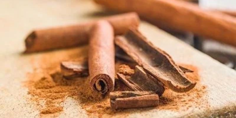 GE quế? Cách làm GE quế đúng kỹ thuật hiệu quả cao 