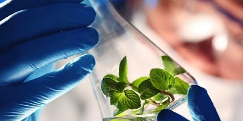 Nước tẩy rửa sinh học – Hướng dẫn cách làm ngay tại nhà 