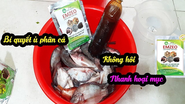 Công dụng tuyệt vời của chế phẩm không nên bỏ qua