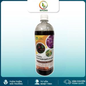 Dịch Trùn Quế Đức Bình