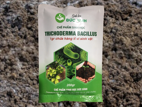 Chế phẩm nấm Trichoderma Bacillus - lựa chọn hàng đầu bà con hiện nay