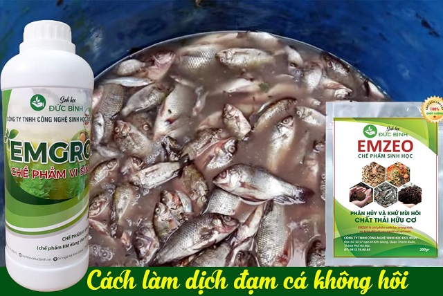 Lọc phân cá để sử dụng hiệu quả