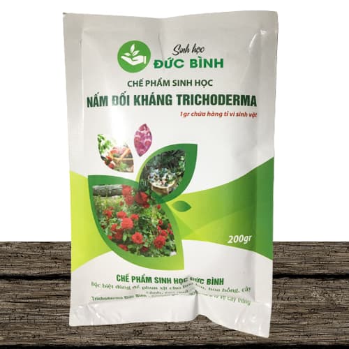 Công dụng tuyệt vời của loại nấm được rất nhiều bà con ưa chuộng hiện nay 
