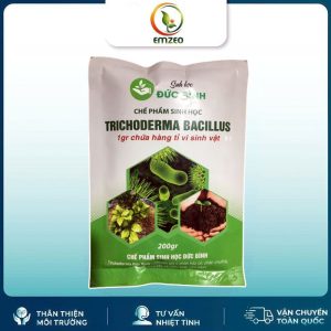Nấm Trichoderma Bacillus Đức Bình