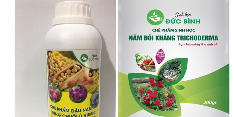 Một số kinh nghiệm bón đạm cá cho hoa hồng