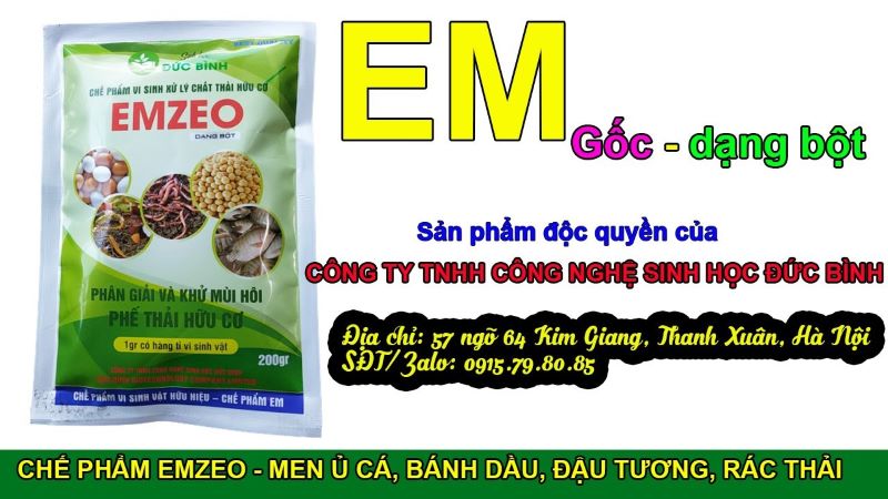 Chế phẩm Emzeo - Các loại chế phẩm sinh học không nên bỏ qua 