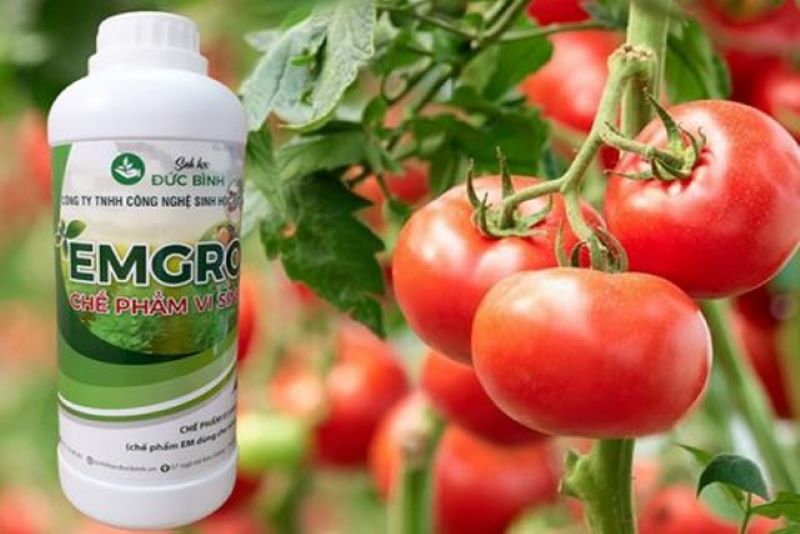 EMGRO gốc giải pháp hữu hiệu cho nhà nông 
