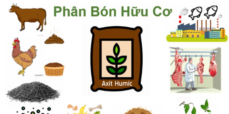 Định nghĩa rõ về các loại phân bón hữu cơ