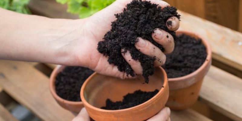 Hướng dẫn cách bảo quản phân hữu cơ từ A-Z