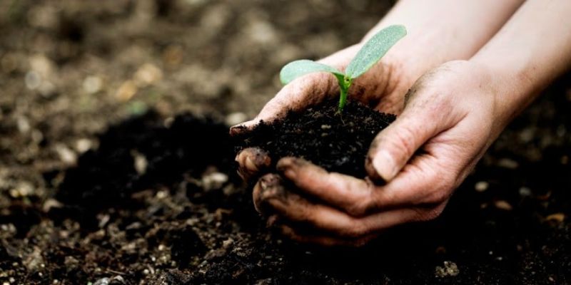 Cách bảo quản phân hữu cơ là chọn vị trí