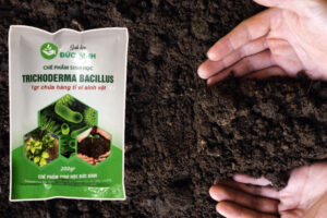 Cach-dung-trichoderma-3
