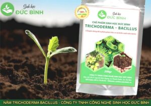 Cach-dung-trichodetrma-4