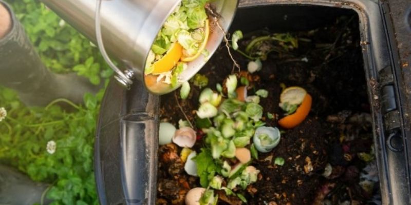 Compost là phân hữu cơ tốt cho cây trồng