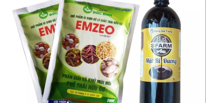 Những lợi ích đặc biệt khi biết cách làm đạm cá bón cây