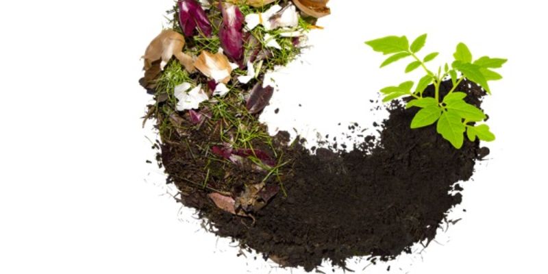 Cụ thể hơn về dạng phân bón hữu cơ