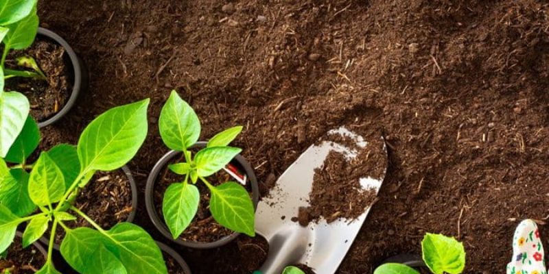 Cách làm phân bón hữu cơ với bước phân loại rác