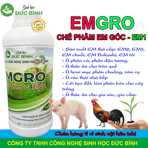 Cách sử dụng chế phẩm EM trong chăn nuôi để làm thức ăn cho vật nuôi 