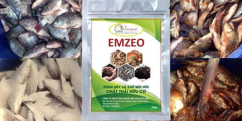 Hiểu rõ hơn về khái niệm đạm cá 