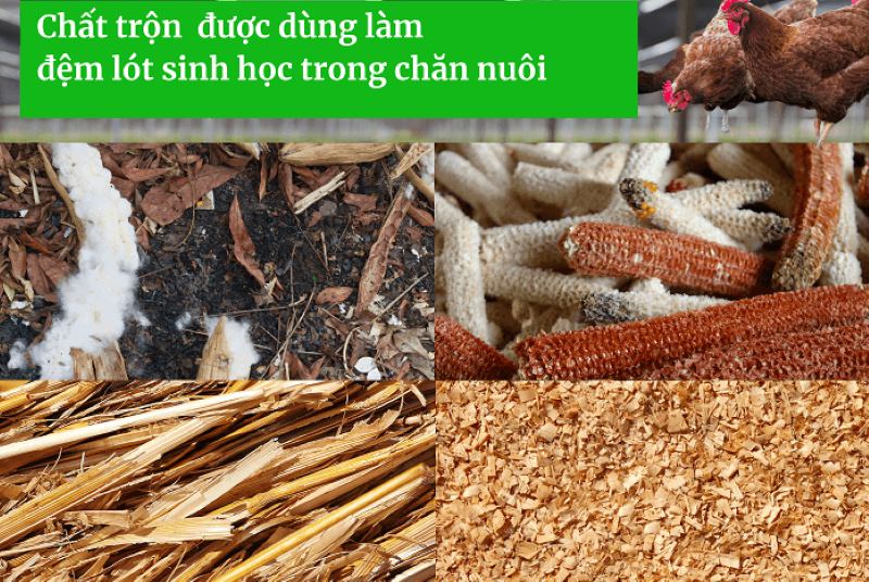 Đệm lót tồn tại một ít nhược điểm trong điều kiện khí hậu, thời tiết không tốt 