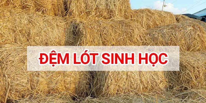 Cách sử dụng đệm lót sinh học hiệu quả vượt trội cho bà con