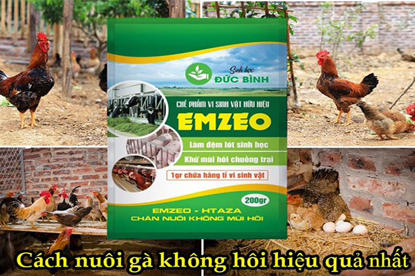 Emzeo làm đệm lót sinh học hiệu quả, không mùi hôi