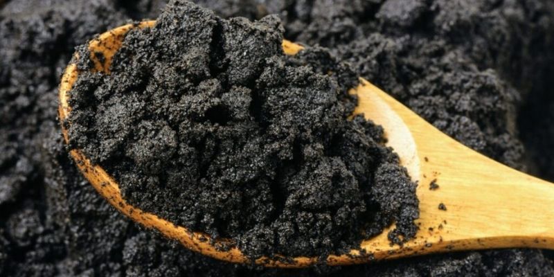 Chia sẻ cách ủ bã cà phê bón cây đơn giản