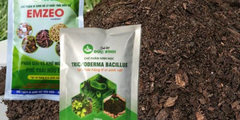 Lưu tâm trong việc ủ phân dành cho các bạn