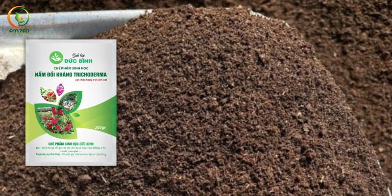 Cách ủ phân bò bằng nấm Trichoderma