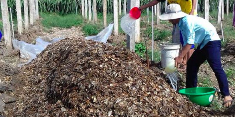 Giới thiệu về cách ủ phân chuồng