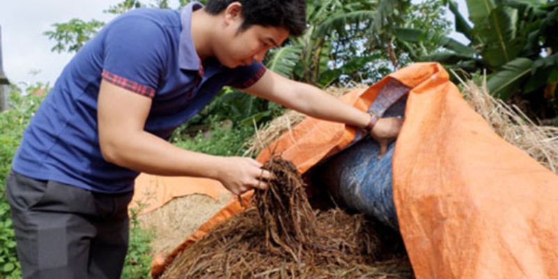 Cách ủ phân chuồng chi tiết, đảm bảo nhất cho bà con