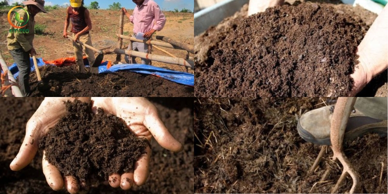 Cách ủ phân gà với Trichoderma
