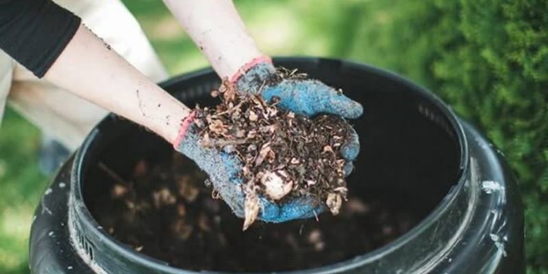 Chia sẻ các bước cách ủ phân hữu cơ từ mùn cưa hiệu quả nhanh chóng