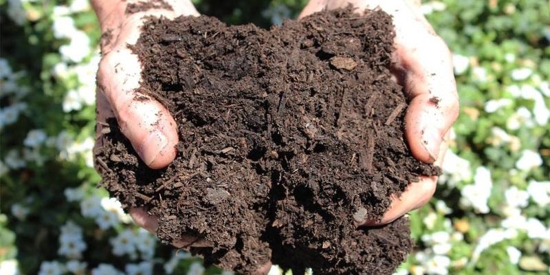 Mùn cưa là sản phẩm dư thừa sản xuất đồ gia dụng