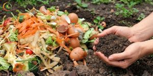 Cách Ủ Rác Nhà Bếp Làm Phân Hữu Cơ Tại Nhà Không Hôi