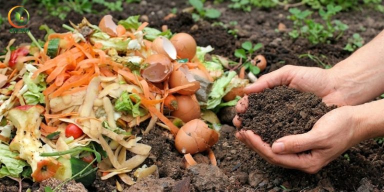 Cách Ủ Rác Nhà Bếp Làm Phân Hữu Cơ Tại Nhà Không Hôi