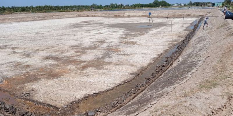 Đáy ao tồn tại nhiều tạp chất và khí độc