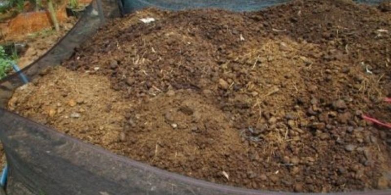 Một vài cách xử lý mùi hôi phân gà